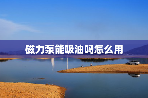 磁力泵能吸油吗怎么用