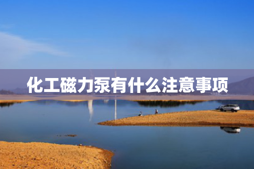 化工磁力泵有什么注意事项