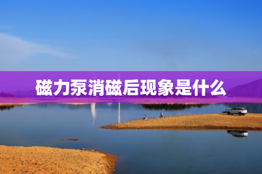 磁力泵消磁后现象是什么
