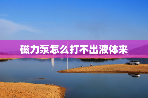 磁力泵怎么打不出液体来