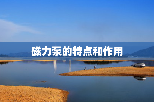 磁力泵的特点和作用