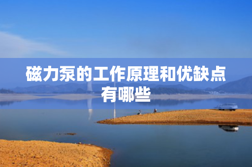 磁力泵的工作原理和优缺点有哪些