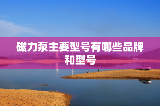 磁力泵主要型号有哪些品牌和型号