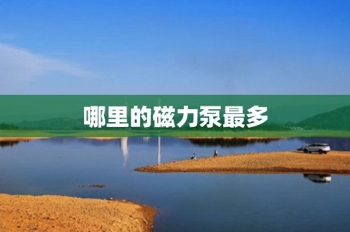 哪里的磁力泵最多