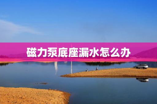 磁力泵底座漏水怎么办