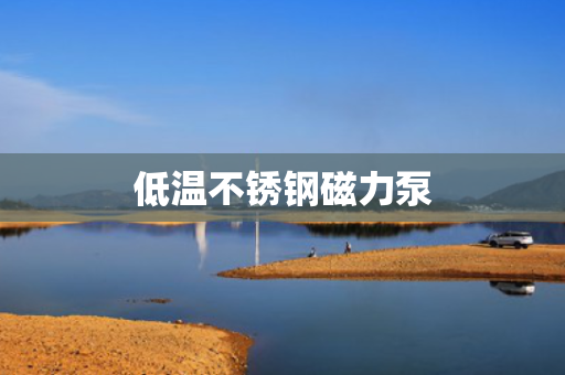 低温不锈钢磁力泵