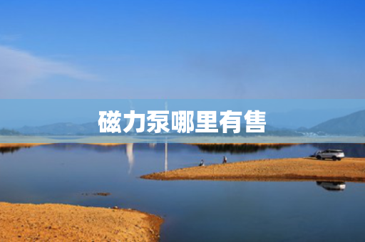 磁力泵哪里有售