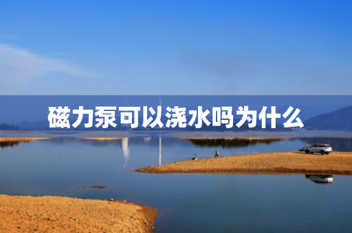 磁力泵可以浇水吗为什么