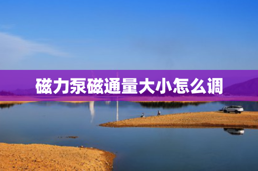 磁力泵磁通量大小怎么调