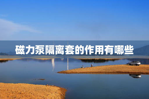 磁力泵隔离套的作用有哪些