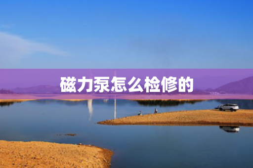 磁力泵怎么检修的
