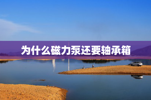 为什么磁力泵还要轴承箱