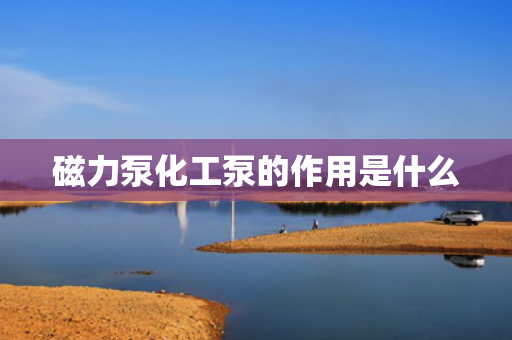 磁力泵化工泵的作用是什么