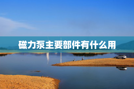 磁力泵主要部件有什么用