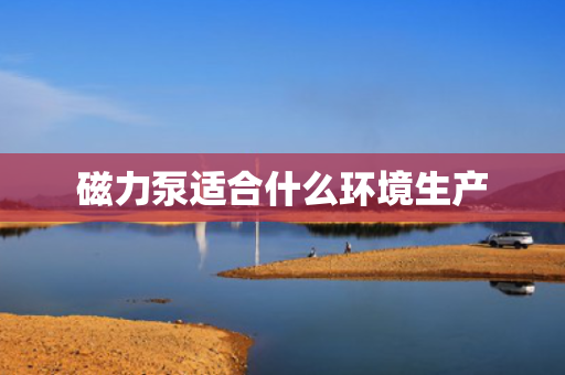 磁力泵适合什么环境生产