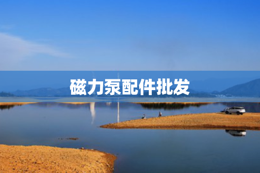 磁力泵配件批发