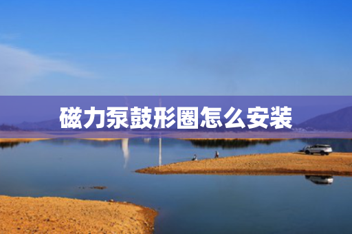 磁力泵鼓形圈怎么安装