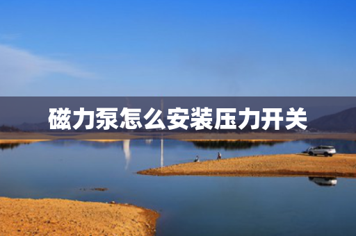 磁力泵怎么安装压力开关