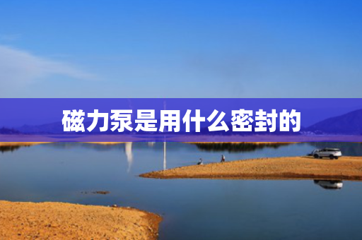磁力泵是用什么密封的