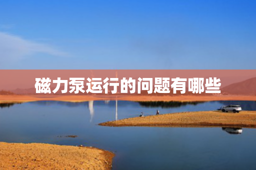 磁力泵运行的问题有哪些