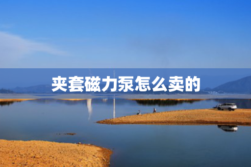夹套磁力泵怎么卖的
