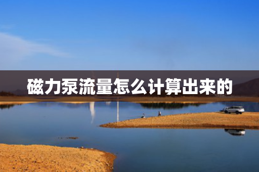 磁力泵流量怎么计算出来的