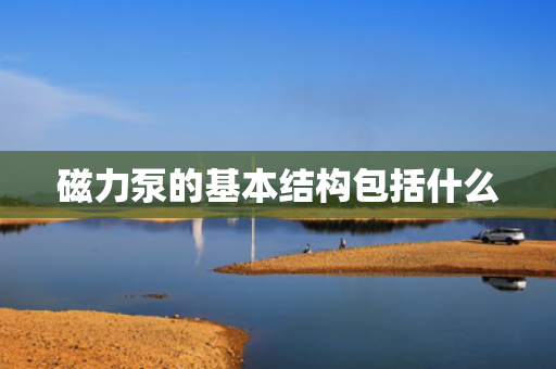 磁力泵的基本结构包括什么
