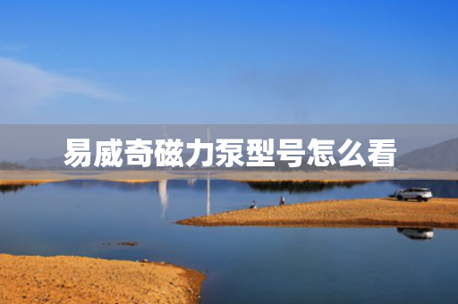 易威奇磁力泵型号怎么看