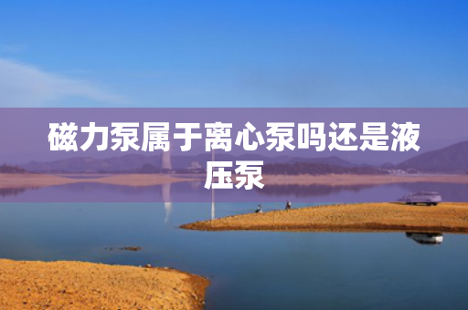 磁力泵属于离心泵吗还是液压泵