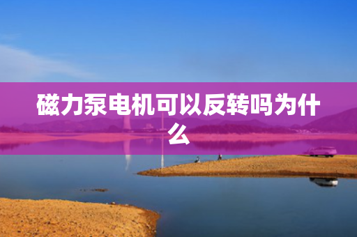 磁力泵电机可以反转吗为什么