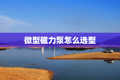 微型磁力泵怎么选型