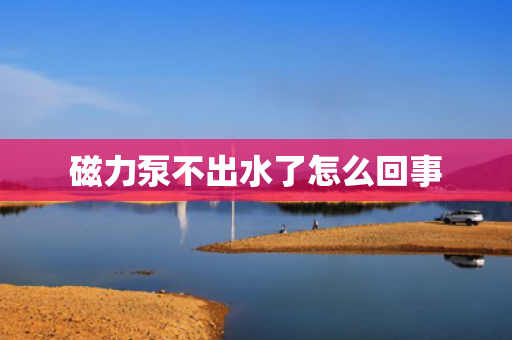 磁力泵不出水了怎么回事