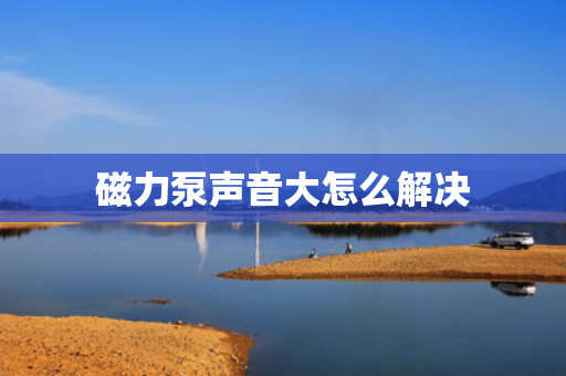 磁力泵声音大怎么解决