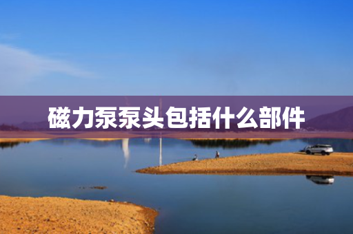 磁力泵泵头包括什么部件