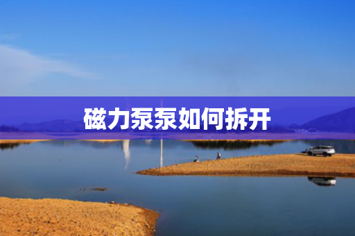 磁力泵泵如何拆开