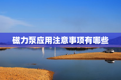 磁力泵应用注意事项有哪些