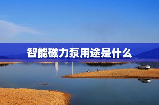 智能磁力泵用途是什么