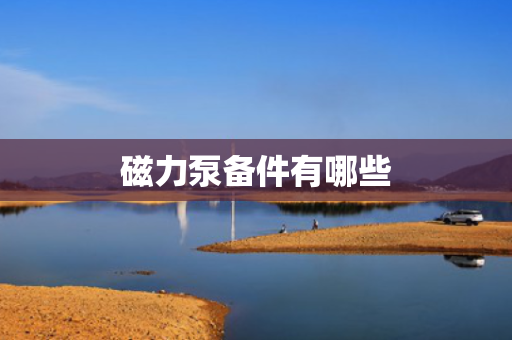 磁力泵备件有哪些