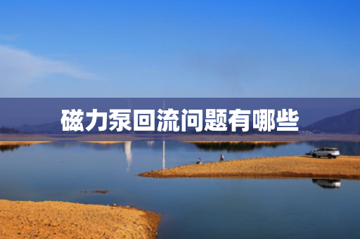 磁力泵回流问题有哪些