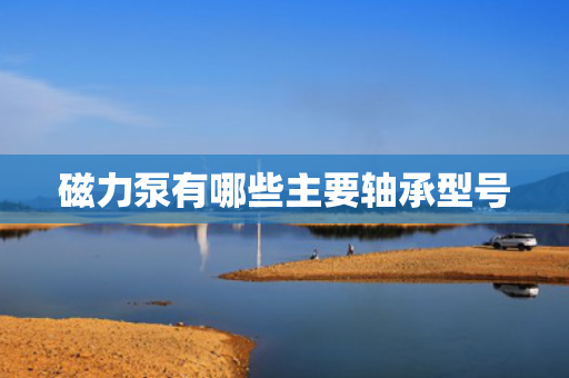 磁力泵有哪些主要轴承型号