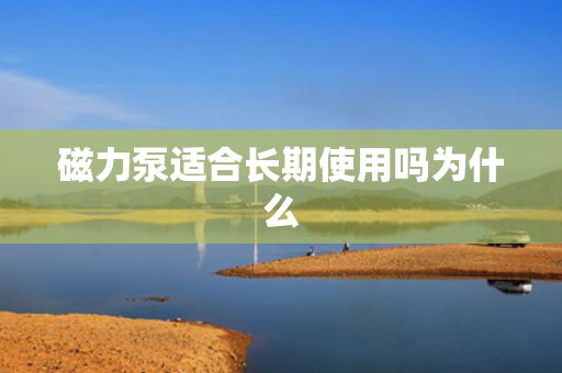 磁力泵适合长期使用吗为什么