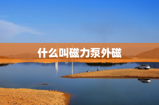 什么叫磁力泵外磁