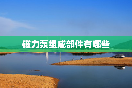 磁力泵组成部件有哪些