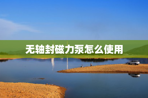 无轴封磁力泵怎么使用