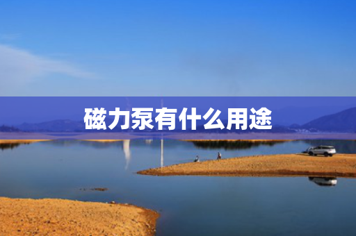 磁力泵有什么用途