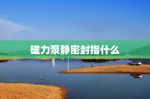 磁力泵静密封指什么