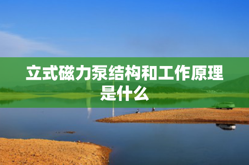 立式磁力泵结构和工作原理是什么