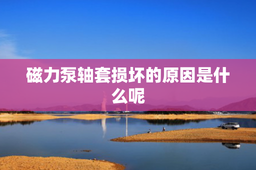 磁力泵轴套损坏的原因是什么呢