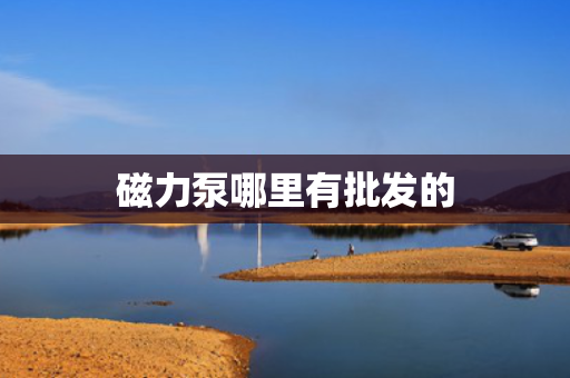 磁力泵哪里有批发的