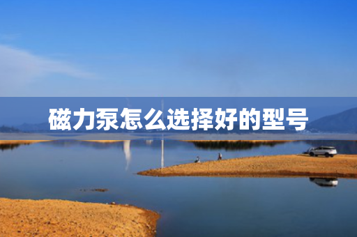 磁力泵怎么选择好的型号